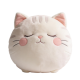 Chubby Round Sleeping Cat Plush Pillow Soft Cuddly Stuffed Toy(15 Inches)